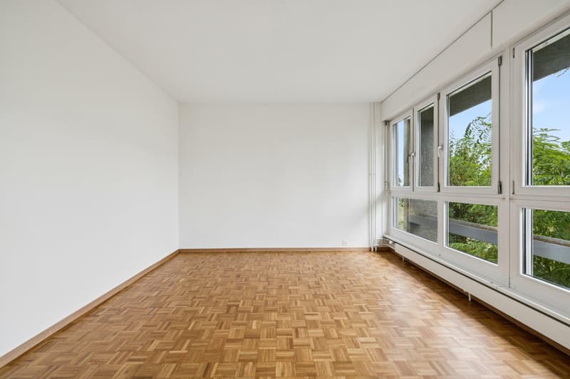 Appartement de 4 pièces à Vernier (8)