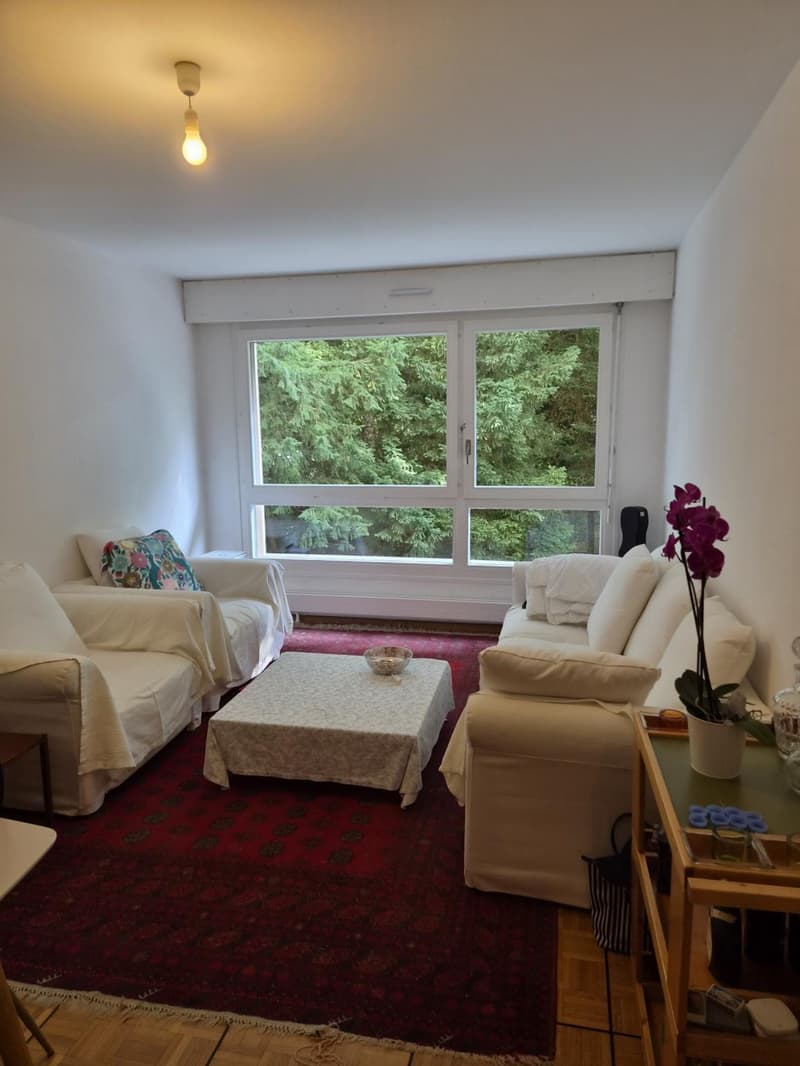 Matutina Parc - 3.5 pièces au 1er étage (2)