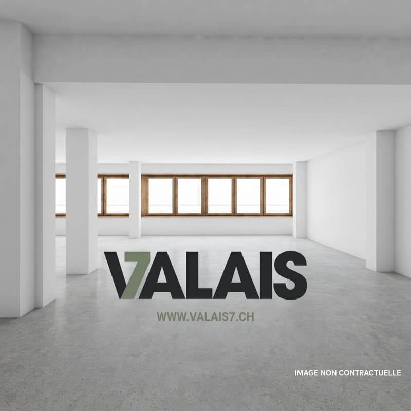 VALAIS 7 - Surface administrative d'env. 183 m² A LOUER (3)