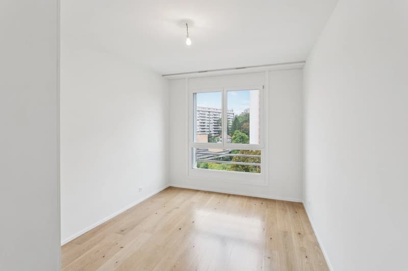Appartement lumineux, traversant (11)