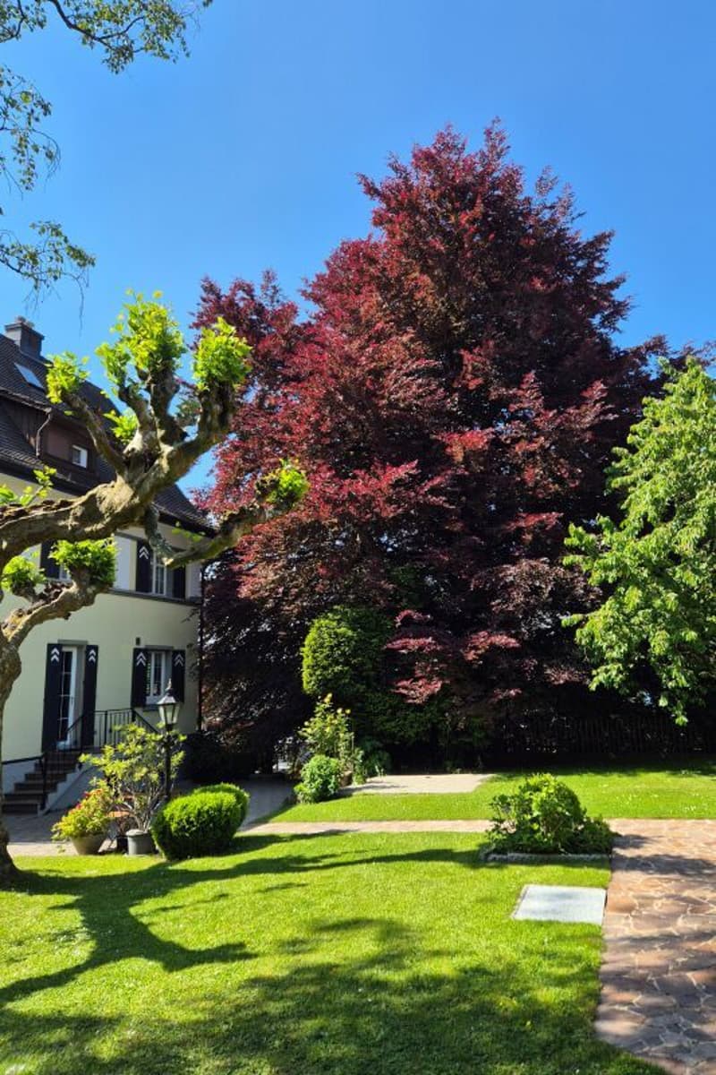 RESERVIERT | Herrschaftsvilla mit 2'008 m2 parkähnlichem Grundstück (15)