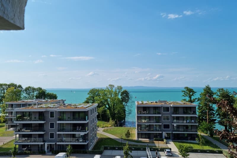 RESERVIERT | Herrschaftsvilla mit 2'008 m2 parkähnlichem Grundstück (5)