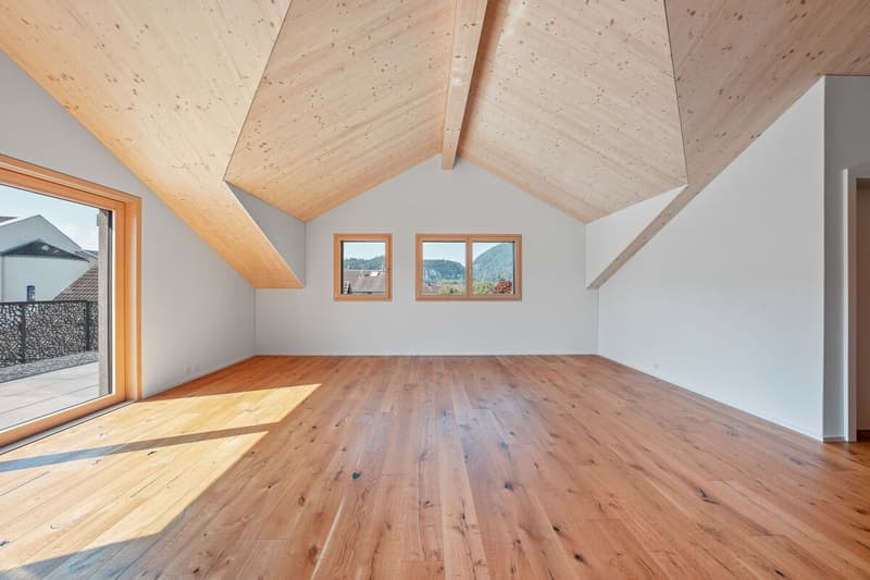 Appartement en duplex de 5,5 pièces (3)