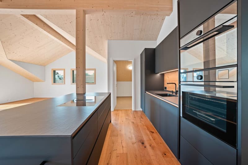 Appartement en duplex de 5,5 pièces (4)