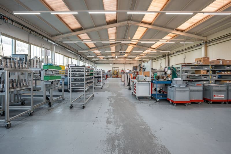 Gewerbeliegenschaft mit Baulandreserve (6)
