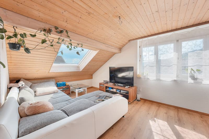 Appartement 4,5 pièces (3)