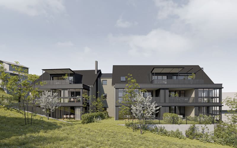 Projet de construction neuve "Lilly et Heiri" (4)