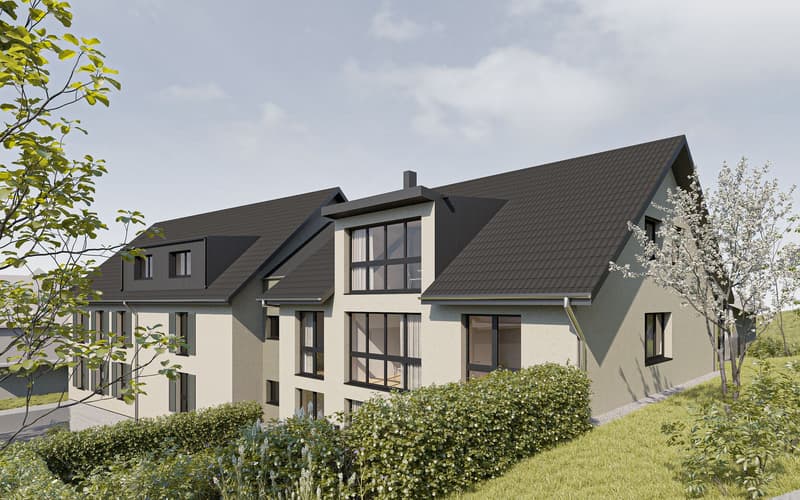 Projet de construction neuve "Lilly et Heiri" (4)