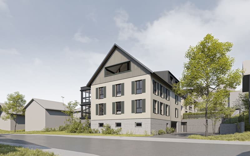 Projet de construction neuve "Lilly et Heiri" (5)