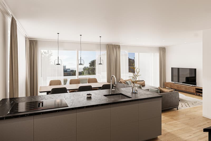 Neubauprojekt "HUS Nöllen" (4)