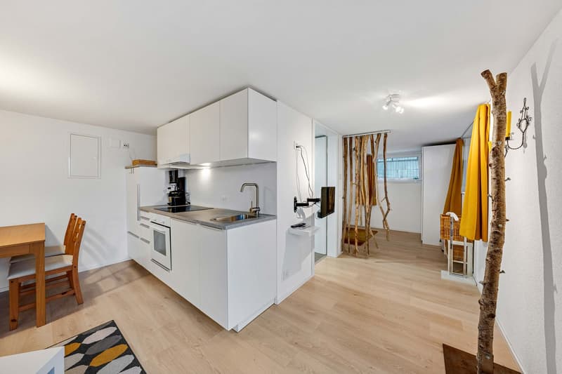 Einfamilienhaus mit Einliegerwohnung (9)