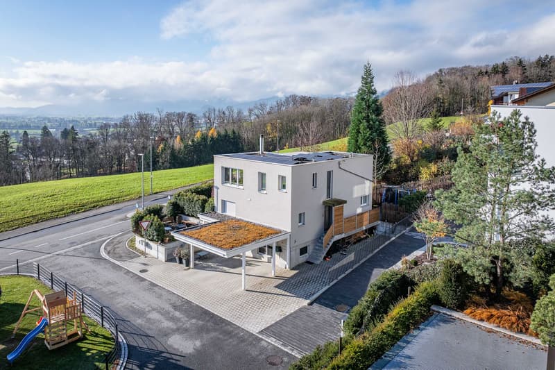 Einfamilienhaus mit Einliegerwohnung (2)