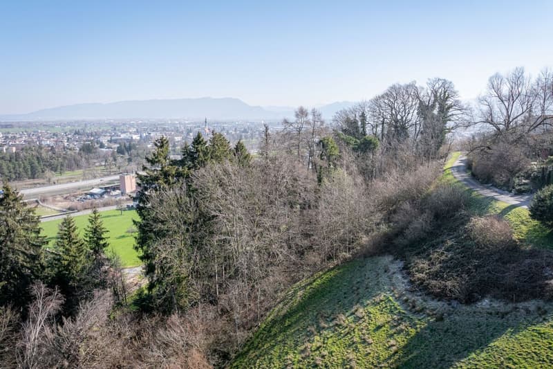 Bauland an erhöhter Lage am Apfelberg (2)