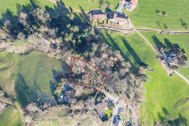Bauland an erhöhter Lage am Apfelberg (3)