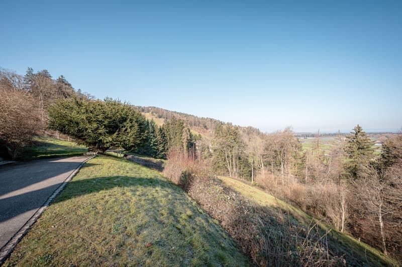 Bauland an erhöhter Lage am Apfelberg (5)