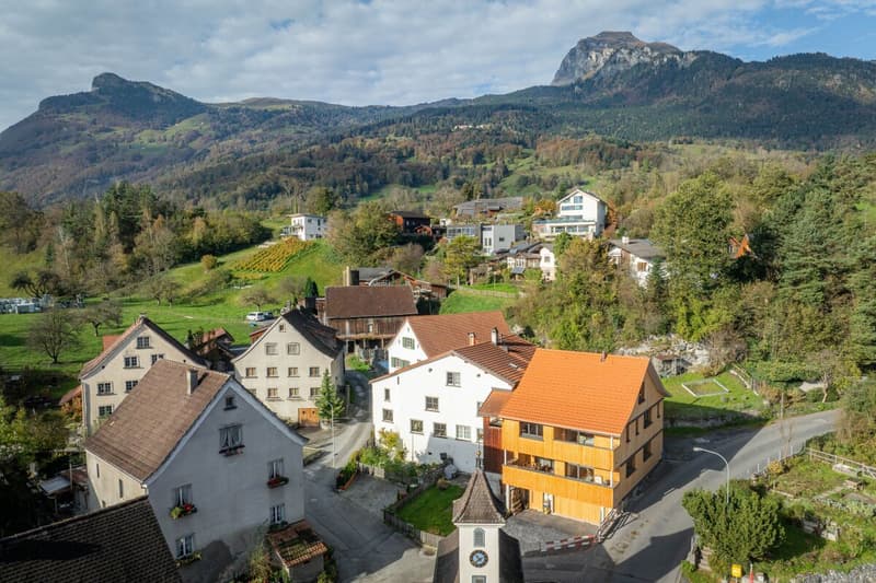 Reihenmittelhaus (3)