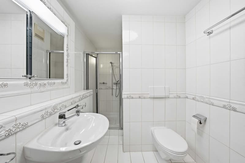 3.5-Zimmer-Wohnung inkl. zwei Tiefgaragenparkplätzen (9)