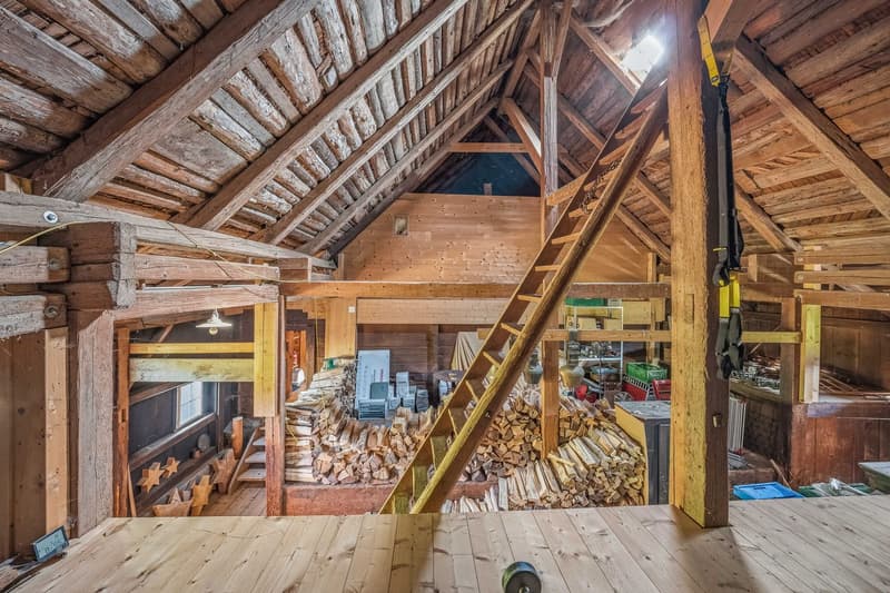 Historisches Wohnhaus mit Scheune und Wald (12)