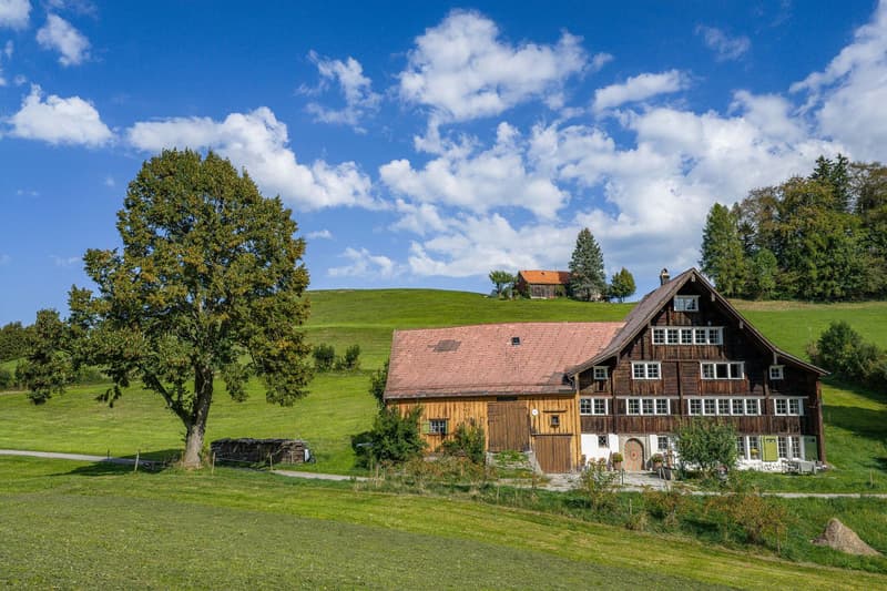 Historisches Wohnhaus mit Scheune und Wald (2)