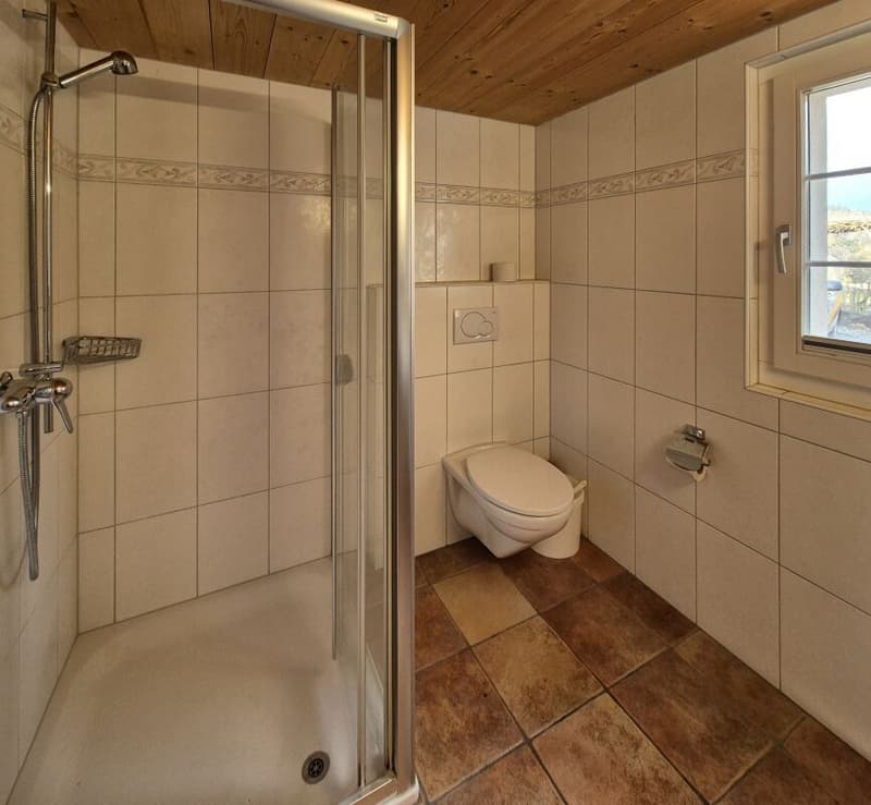 Doppeleinfamilienhaus (13)