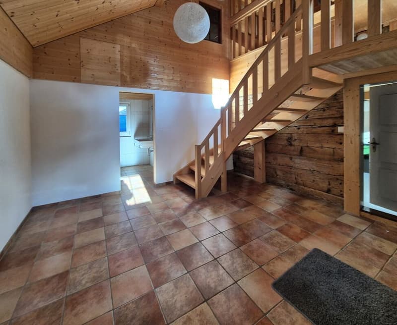 Doppeleinfamilienhaus (11)
