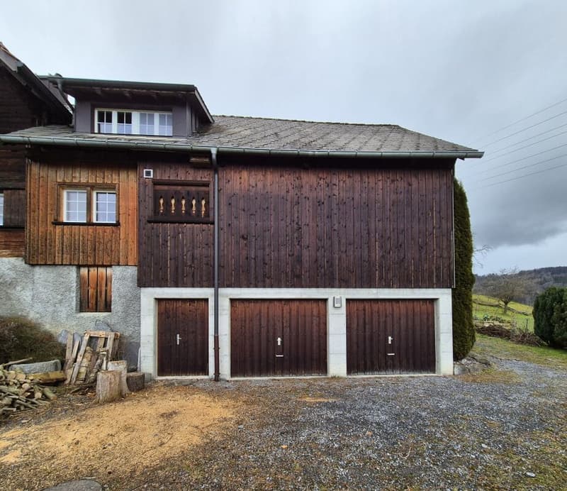 Doppeleinfamilienhaus (15)