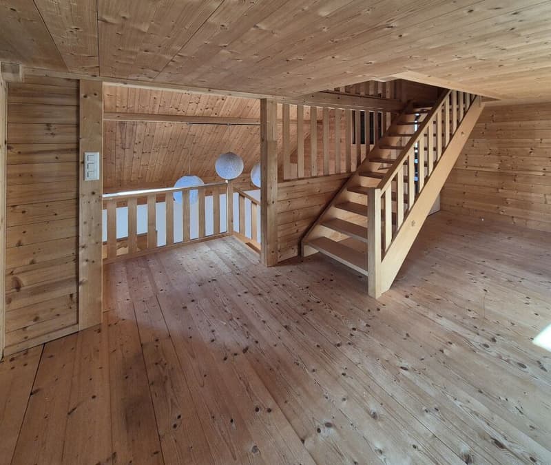 Doppeleinfamilienhaus (10)