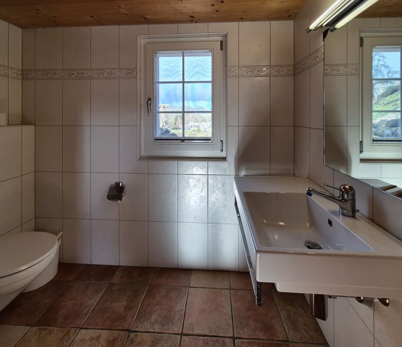 Doppeleinfamilienhaus (14)