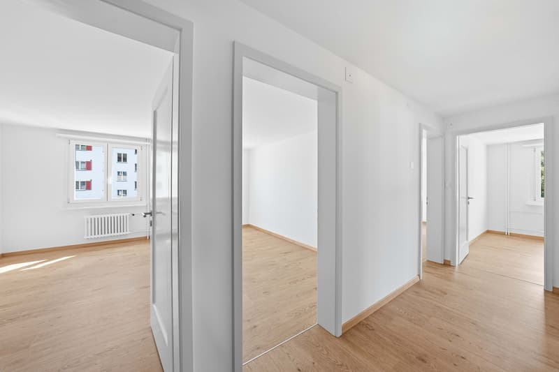 4.5-Zimmer-Wohnung (3)