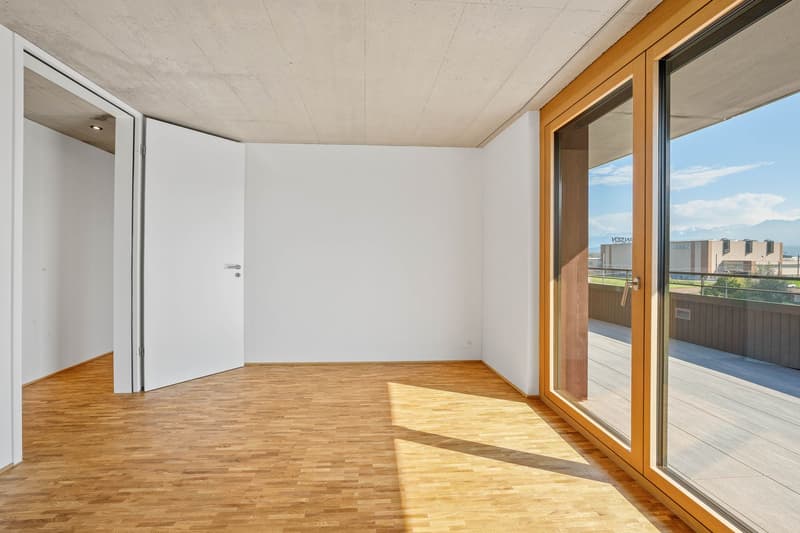 5.5-Zimmer-Attikawohnung (8)