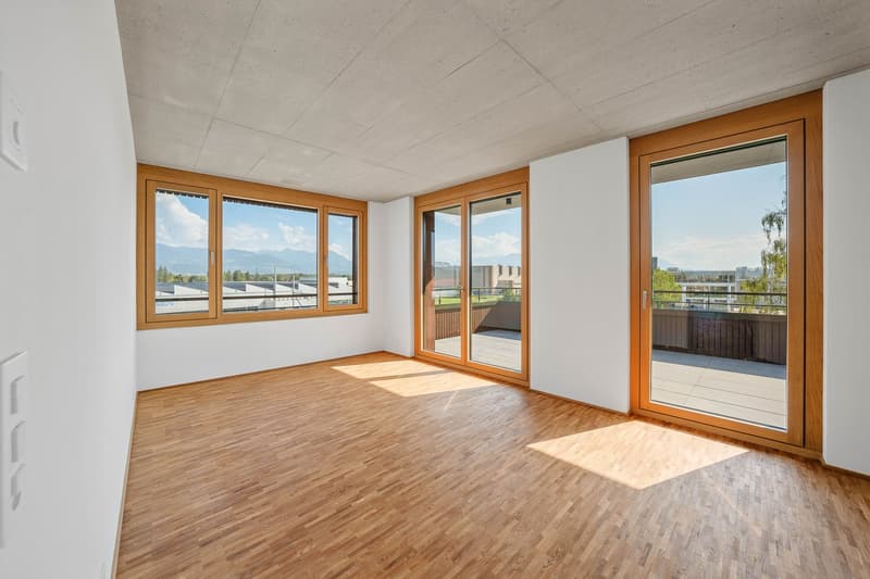 5.5-Zimmer-Attikawohnung (10)