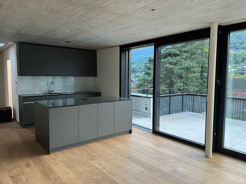 2.5-Zimmer-Attikawohnung (2)