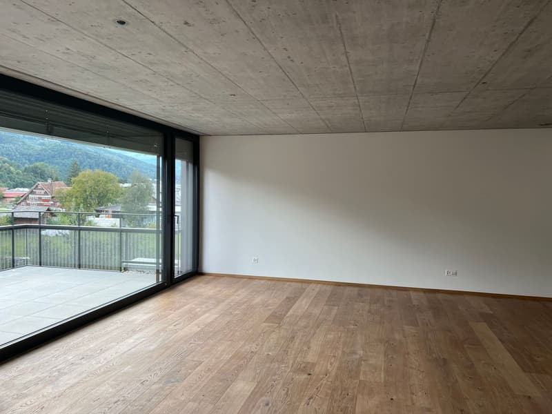 2.5-Zimmer-Attikawohnung (4)