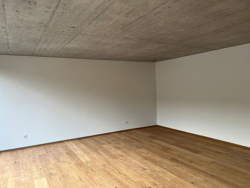 2.5-Zimmer-Attikawohnung (5)