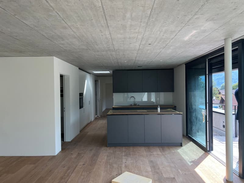 2.5-Zimmer-Attikawohnung (3)