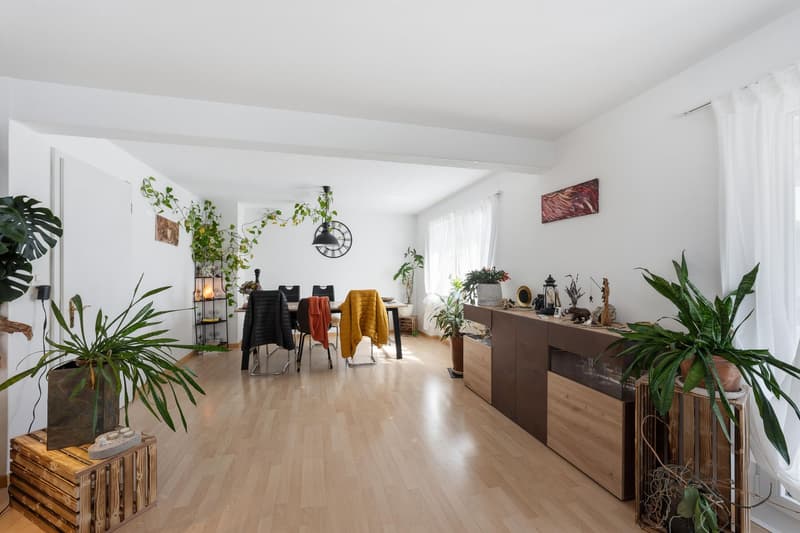 Doppeleinfamilienhaus (5)