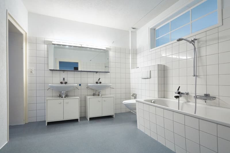 3.5-Zimmer-Wohnung (3)
