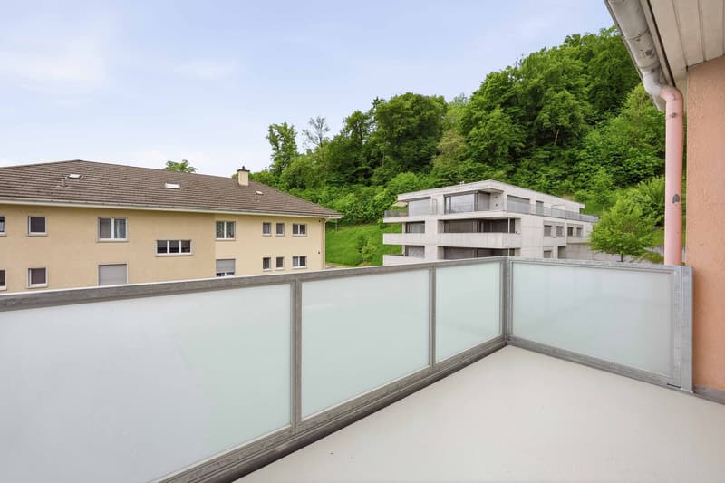 4.5-Zimmer-Wohnung (12)