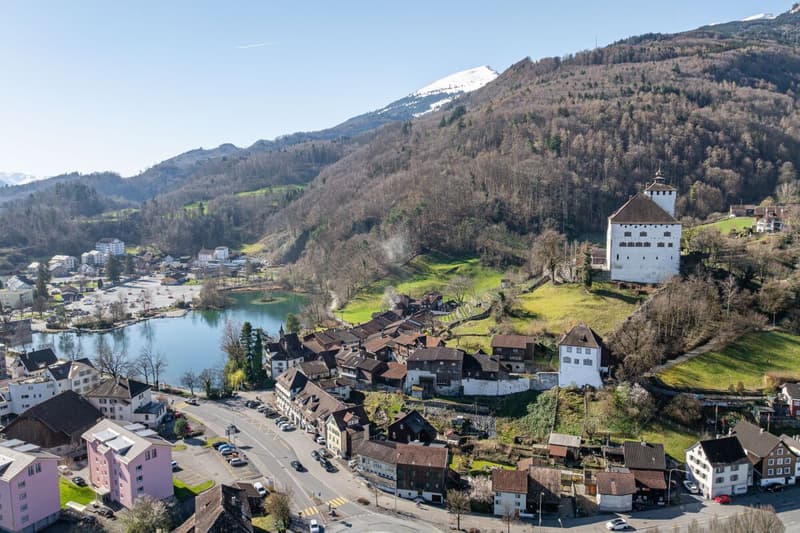 Einfamilienhaus (10)