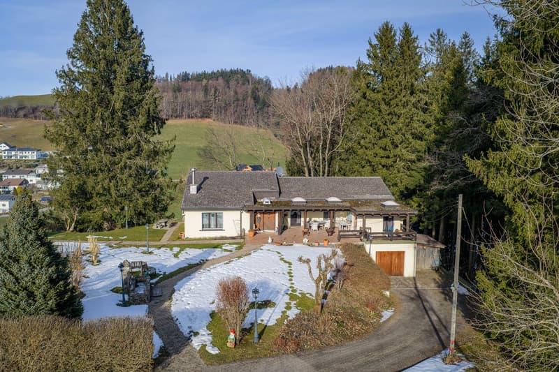 Einfamilienhaus (2)