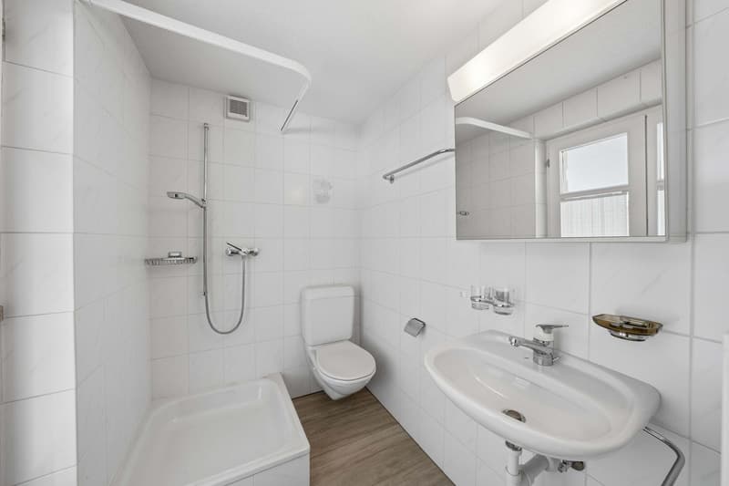 4.5-Zimmer-Wohnung (7)
