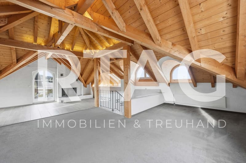 4.5-Zimmer-Wohnung (1)