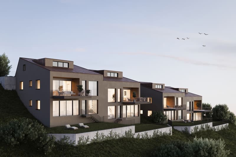 Neubau | Doppeleinfamilienhaus (2)
