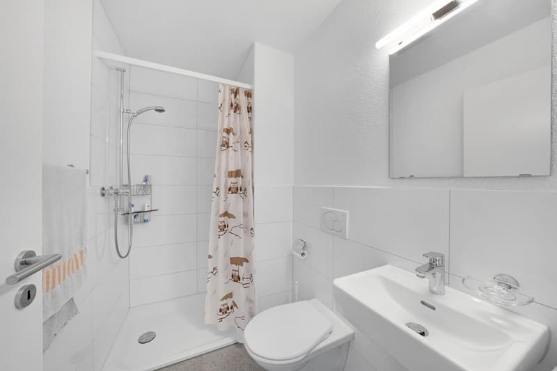 4.5-Zimmer-Wohnung (10)