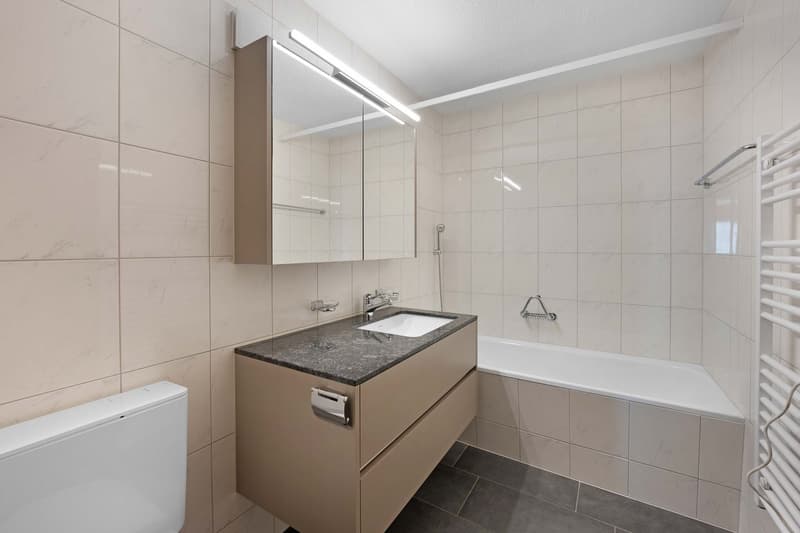 3.5-Zimmer-Wohnung (6)