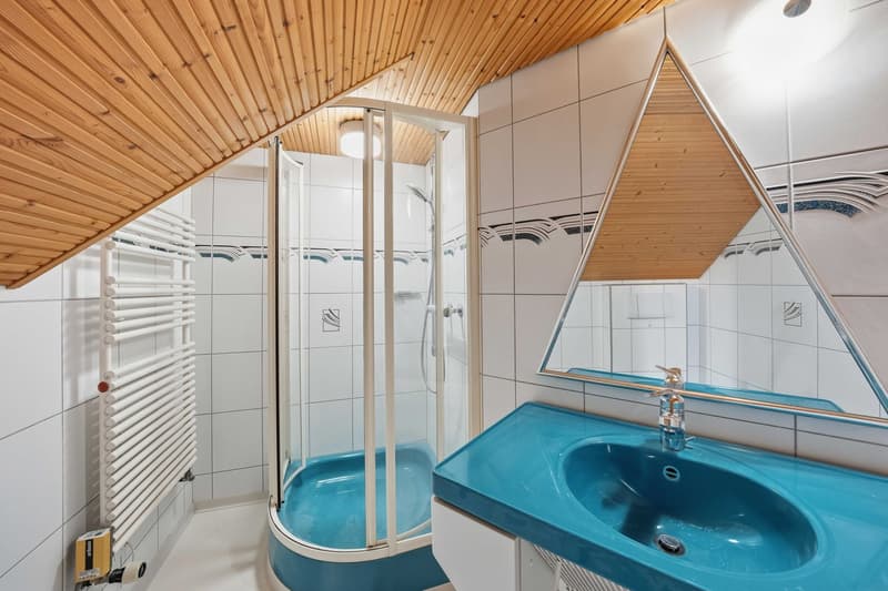 5.0-Zimmer-Einfamilienhaus (9)