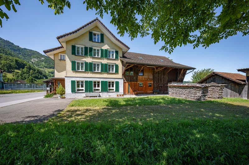 Einfamilienhaus mit Doppelgarage, Scheune und separater Remise (2)