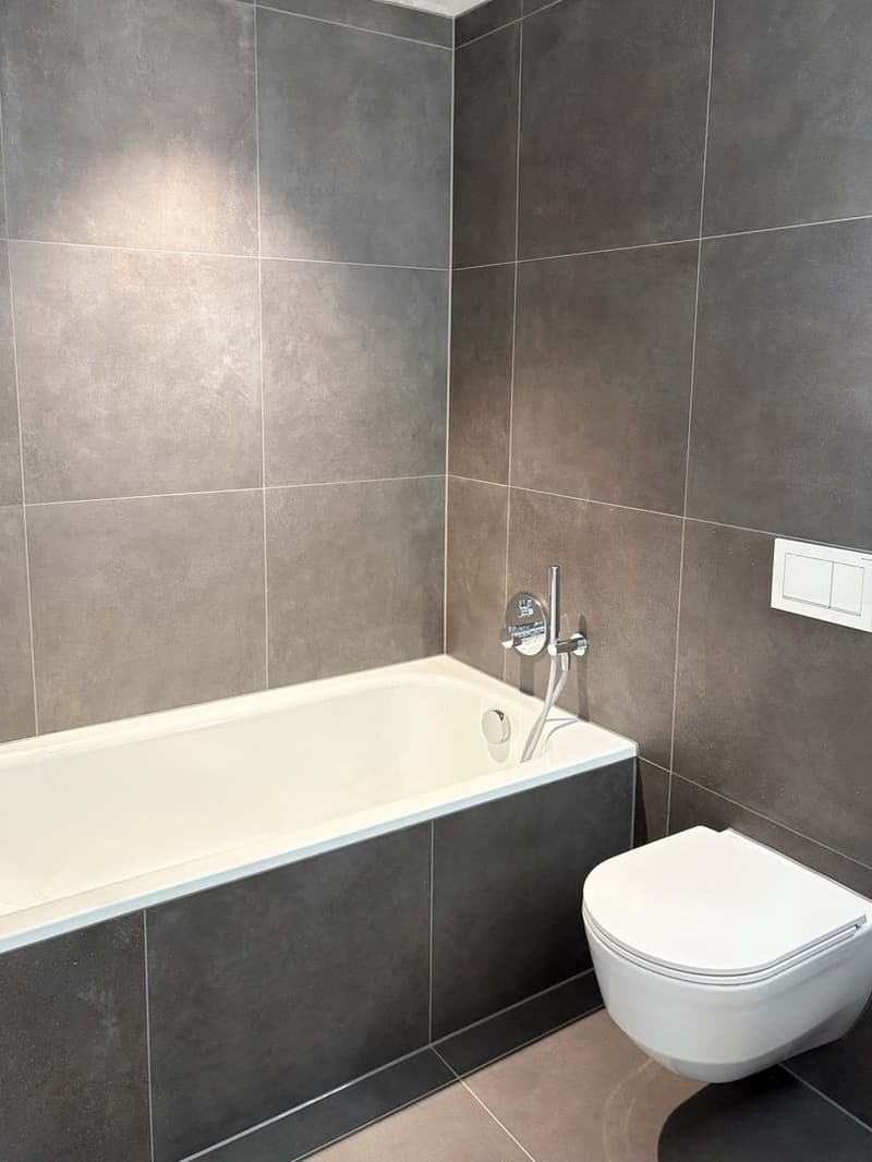 3.5-Zimmer-Wohnung (8)