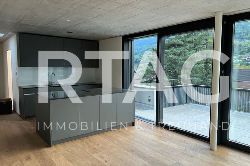 2.5-Zimmer-Attikawohnung (1)