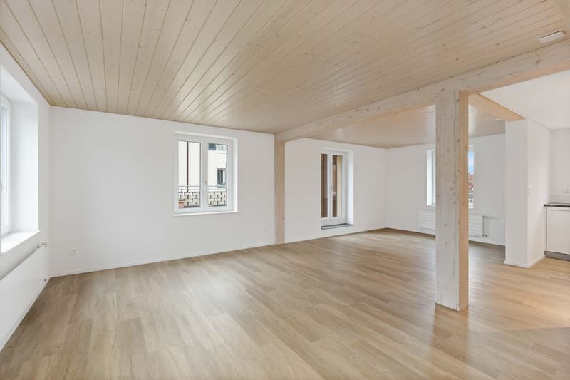 6.5-Zimmer-Wohnung (8)